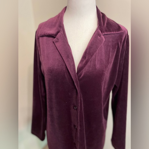 Vintage Plum Velour Blouse - Picture 4 of 6